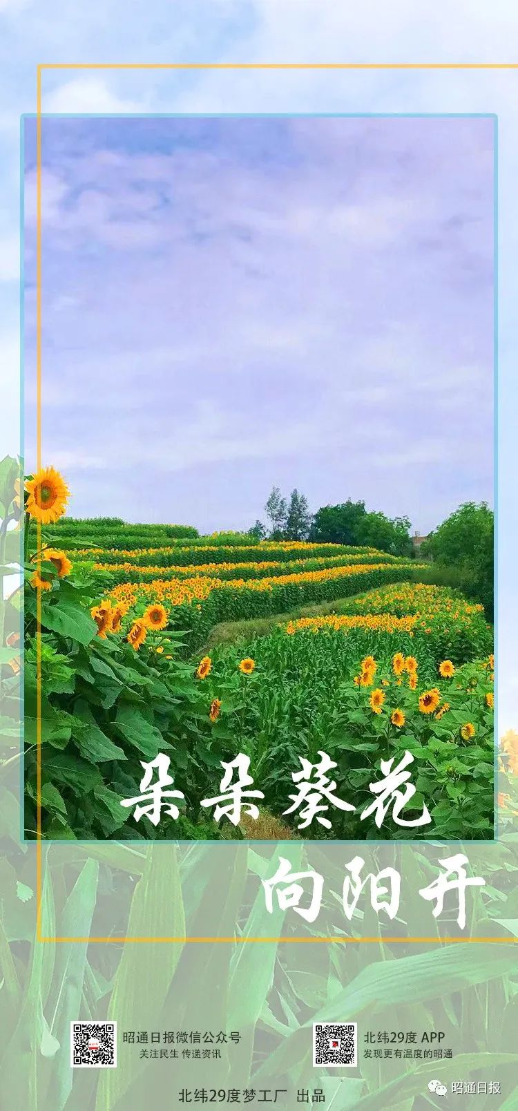 昭通日报