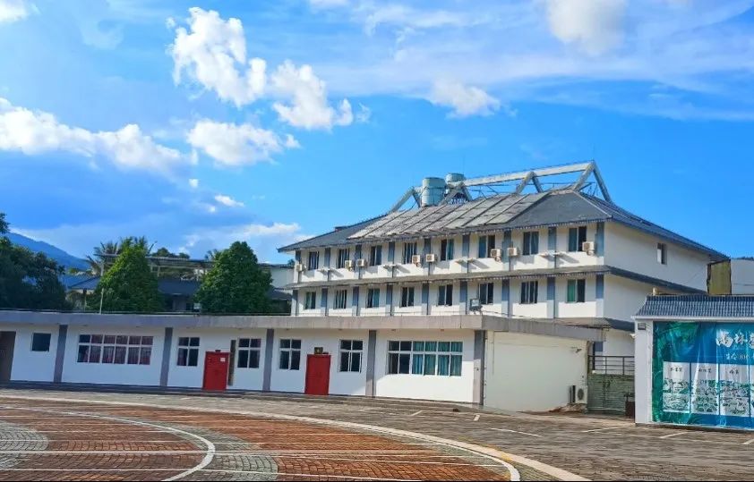 西双版纳望天树景区