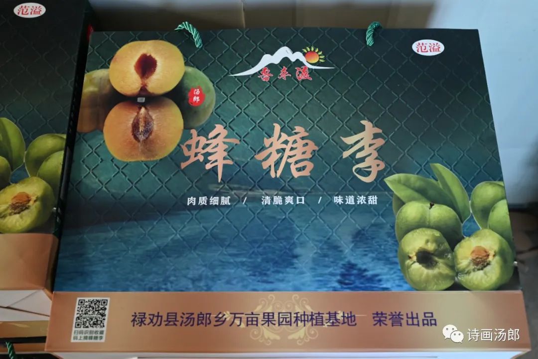 魅力禄劝