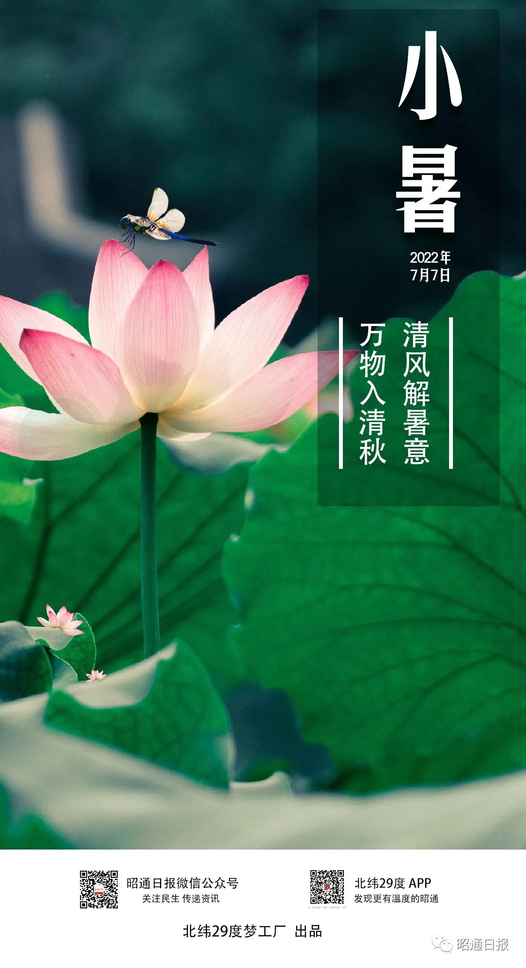 昭通日报