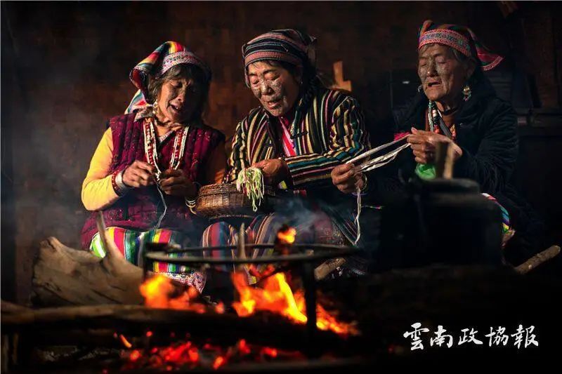 云南政协报