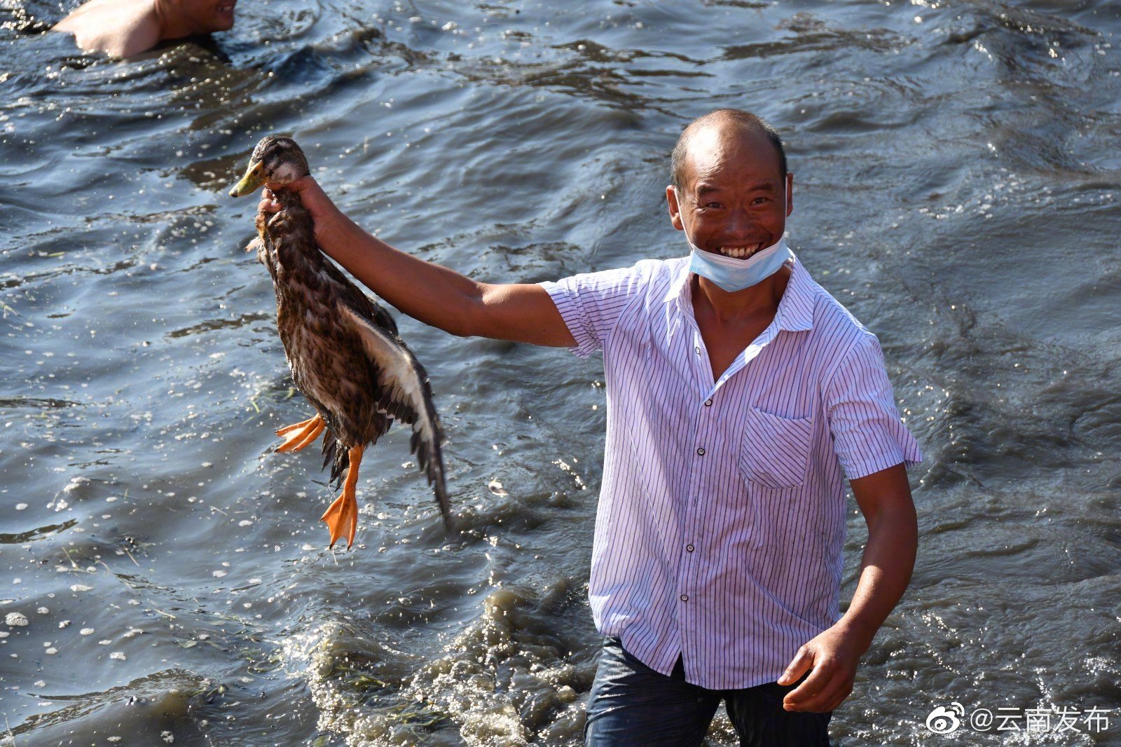 “云南发布”微博
