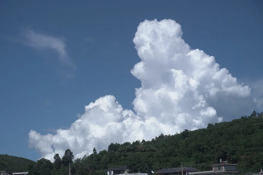 保山新闻网