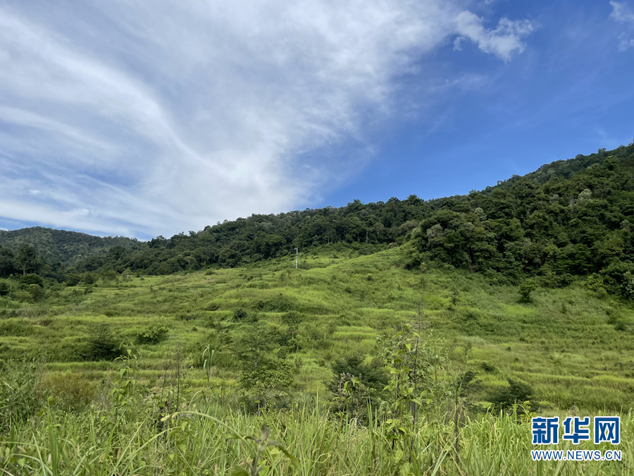 云南省文化和旅游厅