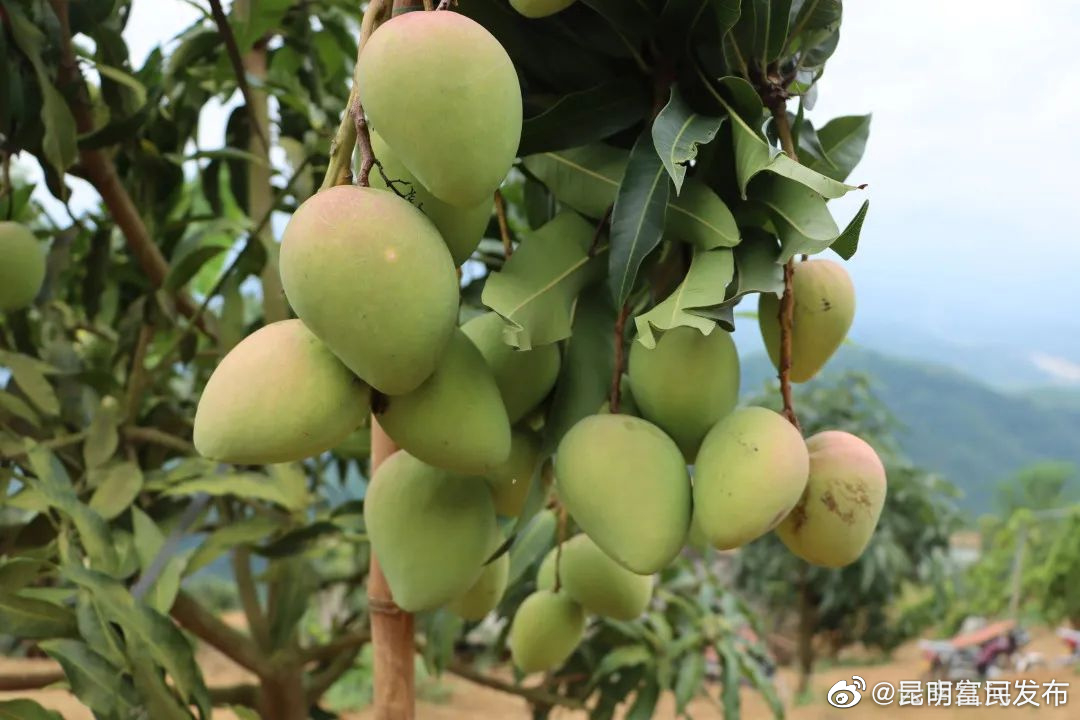 “昆明富民发布”微博