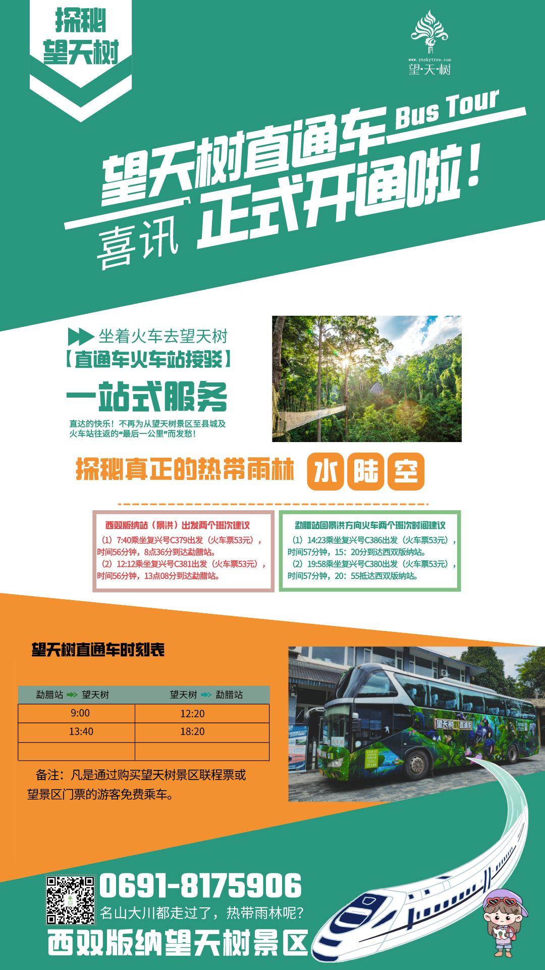 西双版纳望天树景区