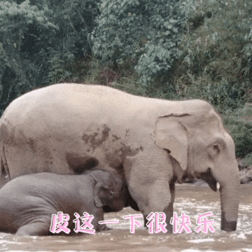 普洱日报
