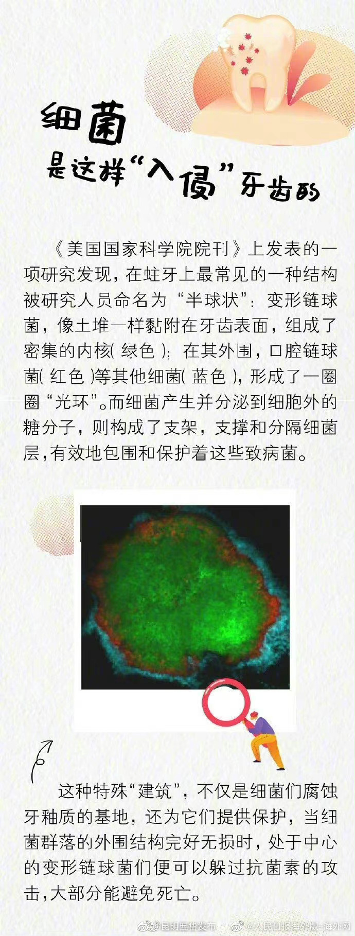 “昆明五华发布”微博