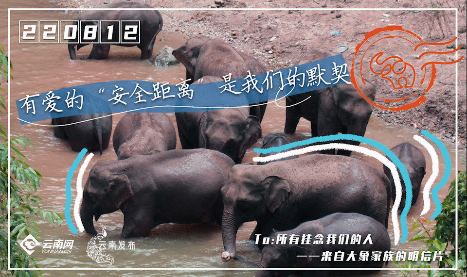 一部手机游云南