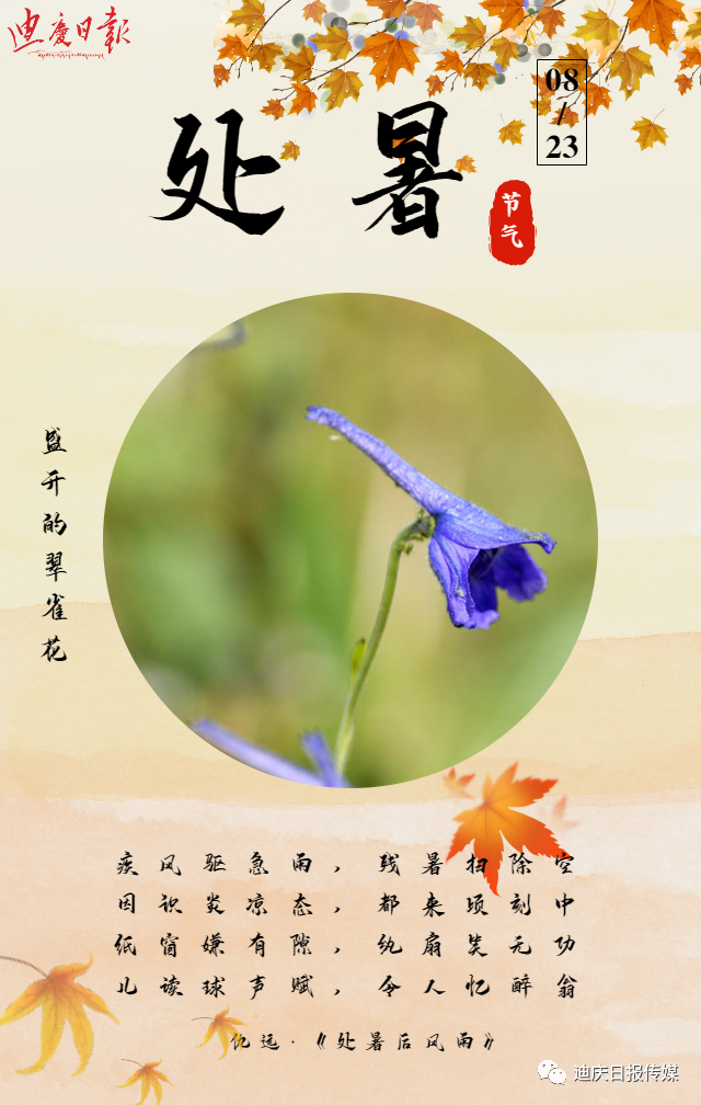 迪庆日报传媒