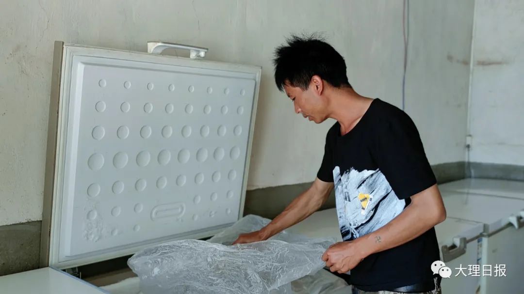 大理日报