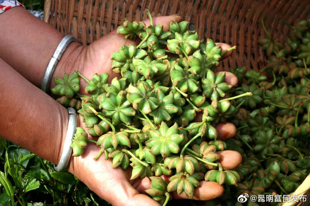“昆明富民发布”微博