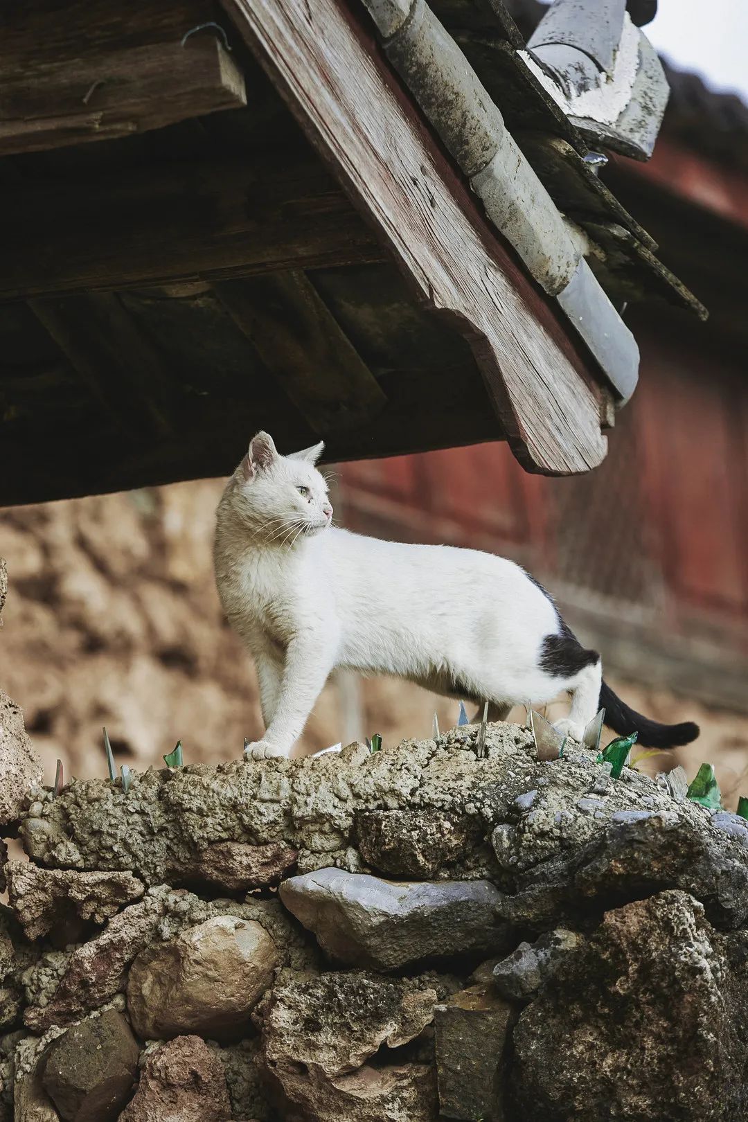 云南省文化和旅游厅