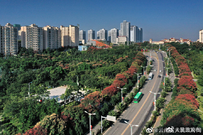 每个省份力争2022年内建成不少于40个“口袋公园”