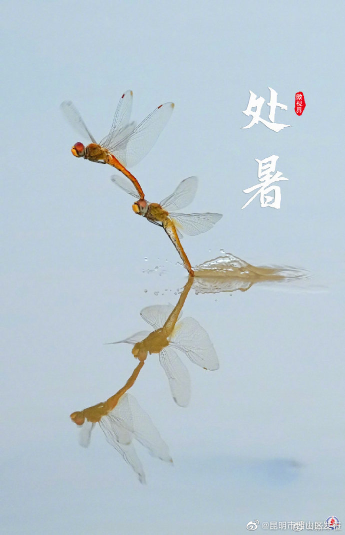 昆明市西山区发布