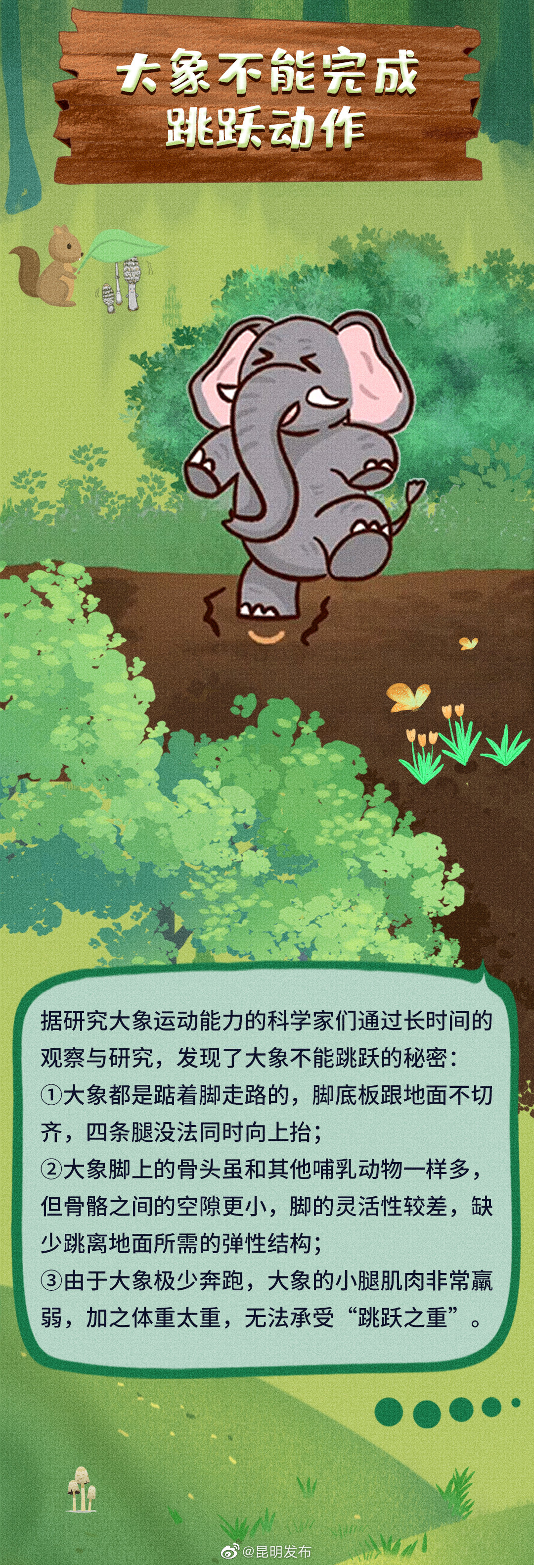 昆明发布