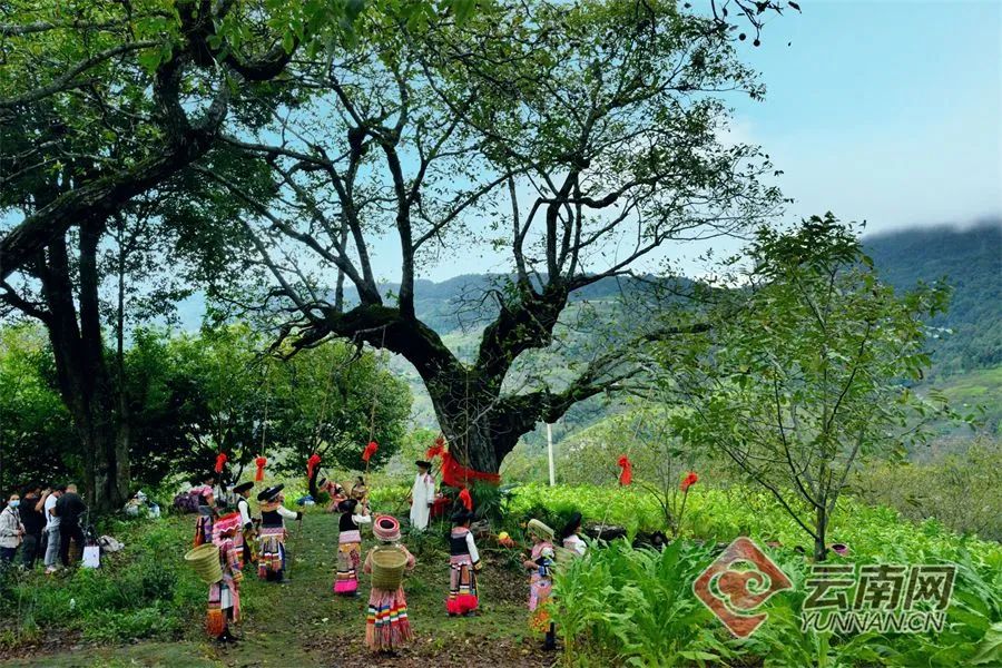 文旅云南