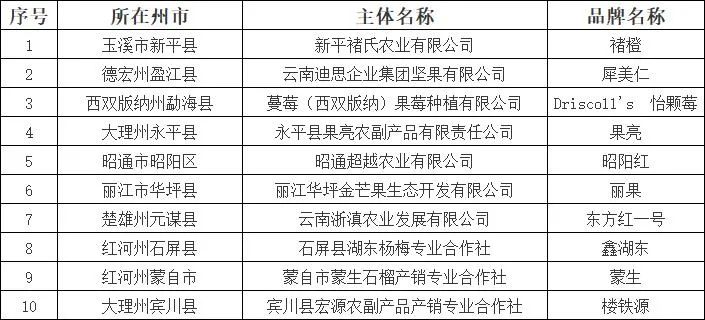 云南省人民政府网
