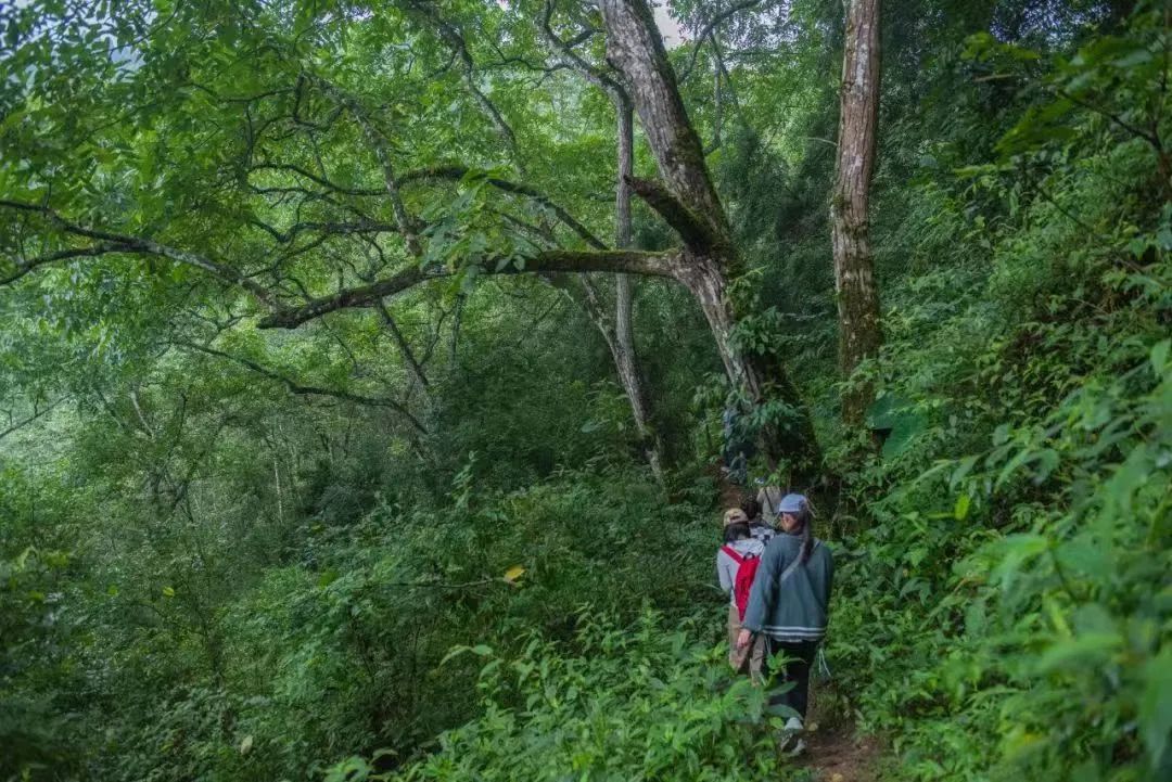 保山新闻网