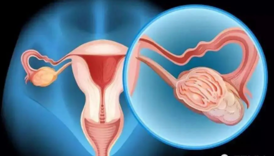 昆明国家高新区发布