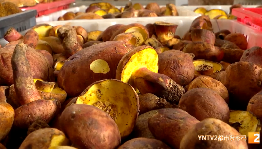 昆明市呈贡区人民法院(微信)