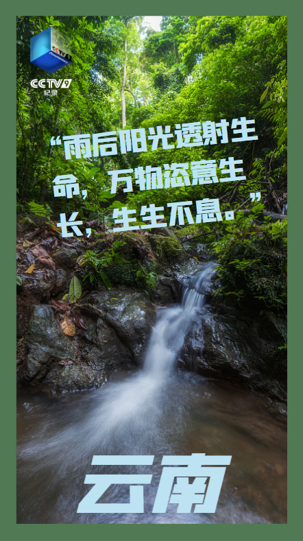 918云南交通台(微信)