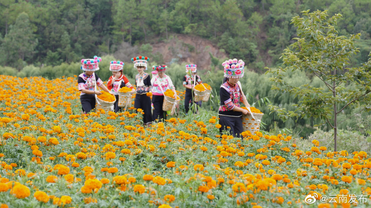 “云南发布”微博