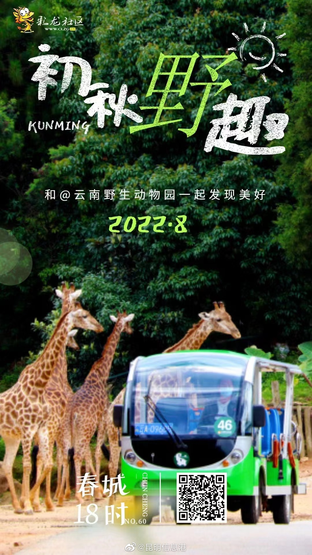 春城18时NO.60 初秋的野趣