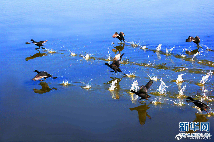 “云南发布”微博