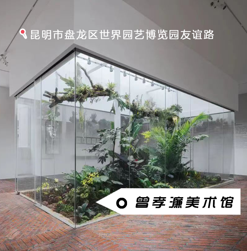 昆明文旅