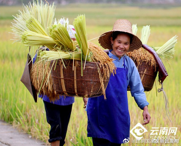 昆明国家高新区发布