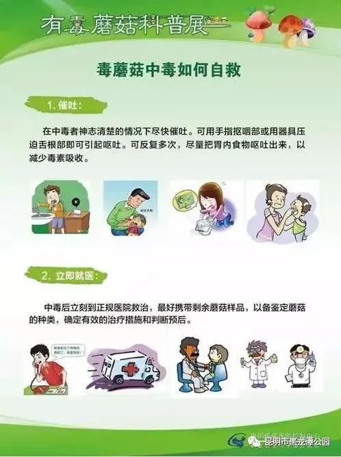 昆明市黑龙潭公园