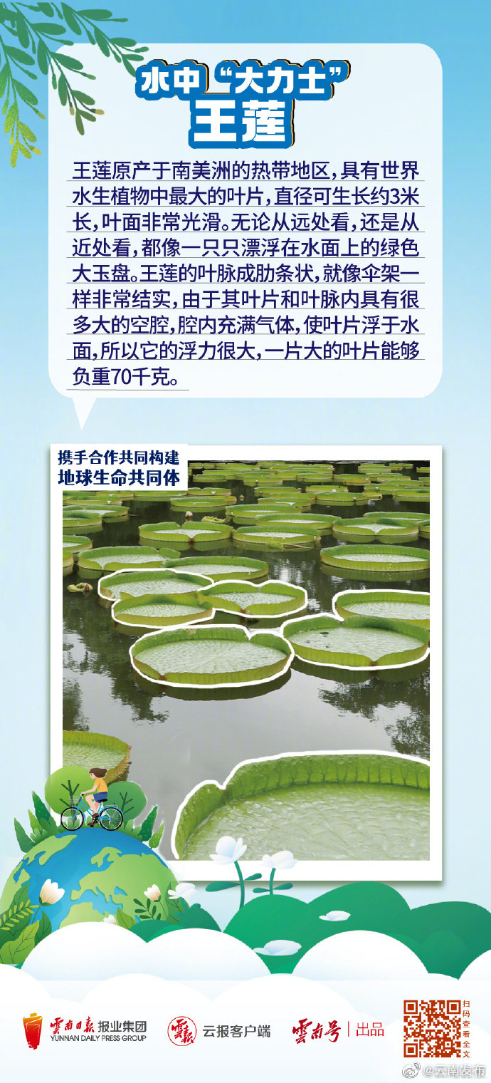 “云南发布”微博