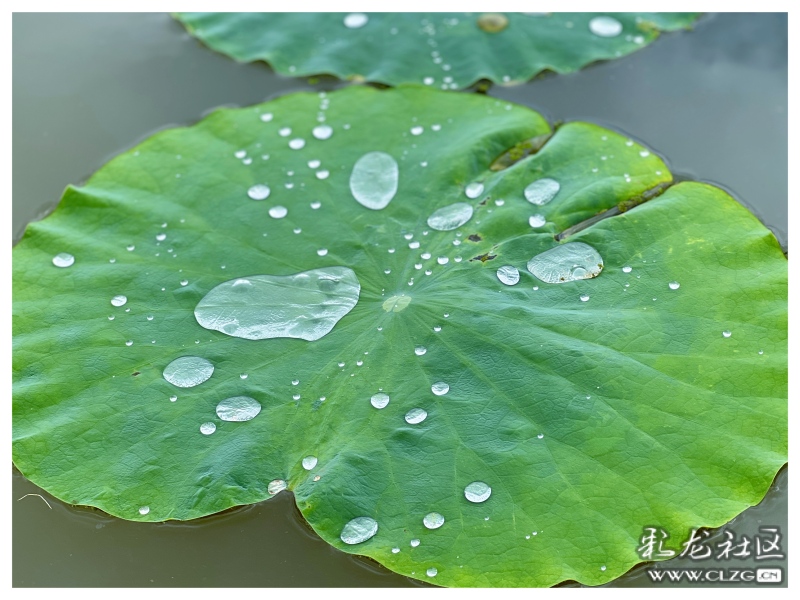 新华网云南频道