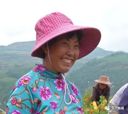 东川新闻