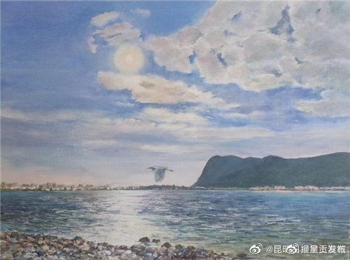 呈贡发布