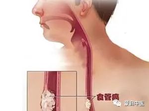 蒙自中医