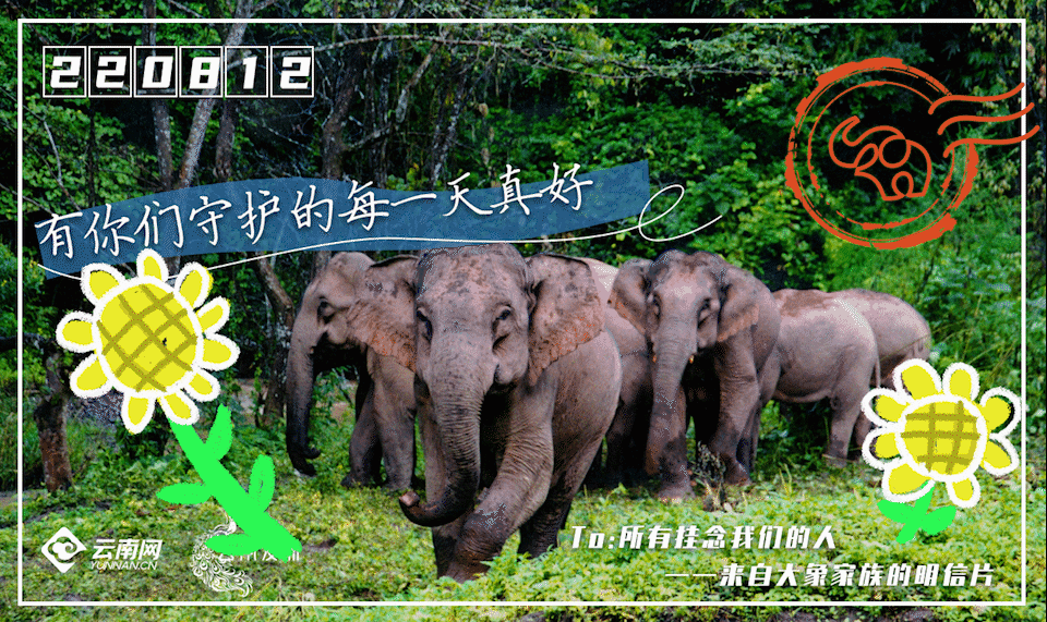 一部手机游云南