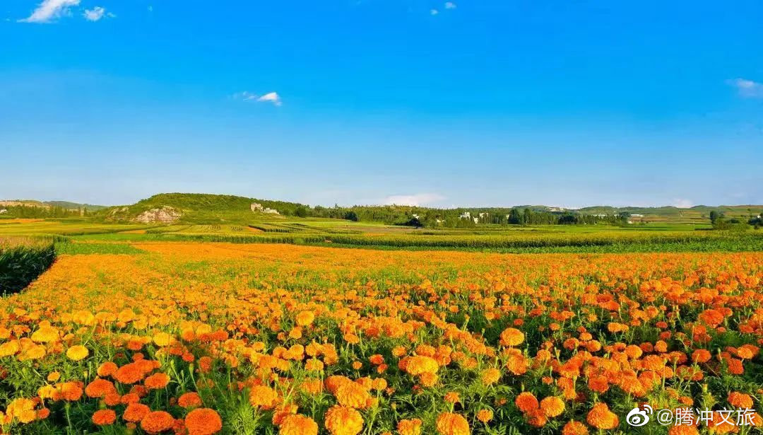 腾冲文旅微博