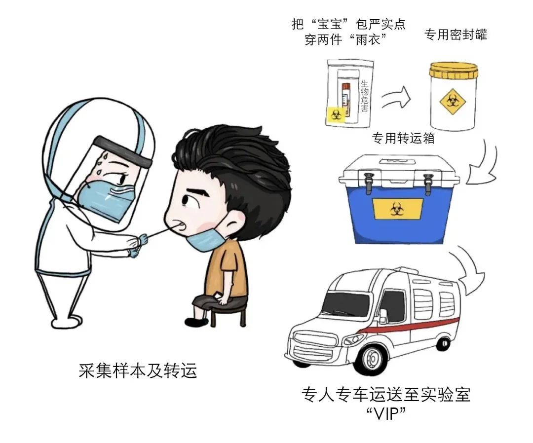 春城先锋