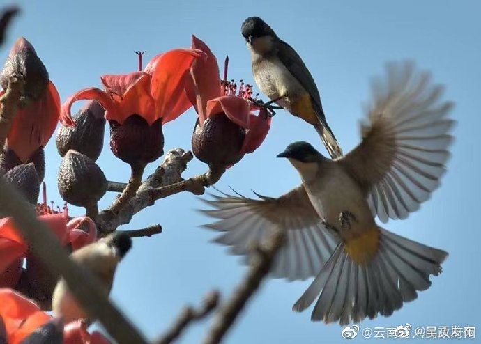 呈贡发布