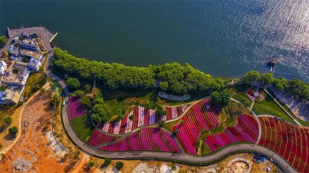 云南省文化和旅游厅