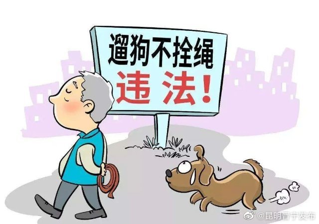 遛狗不栓绳？对不起，你违法了！