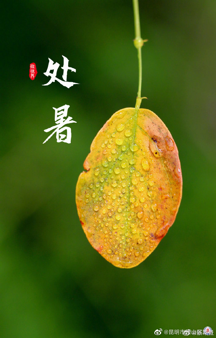 昆明市西山区发布