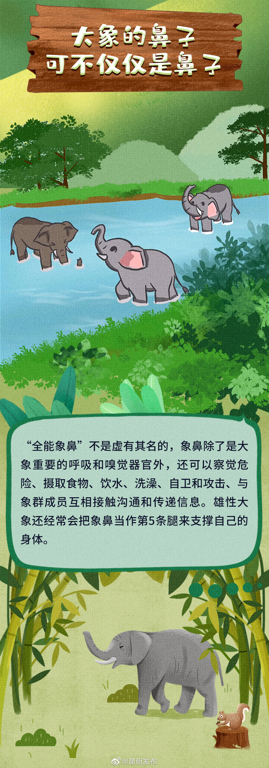 昆明发布