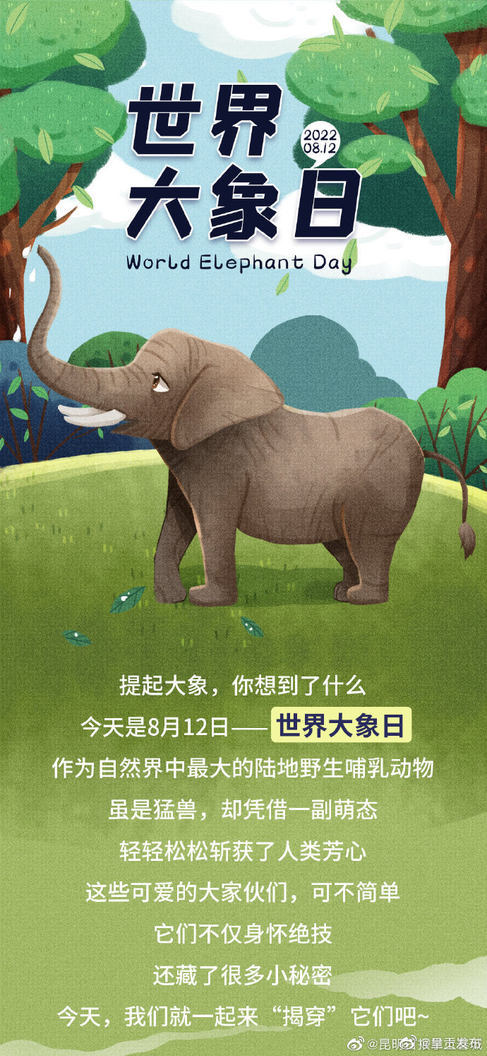 呈贡发布