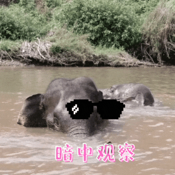 普洱日报