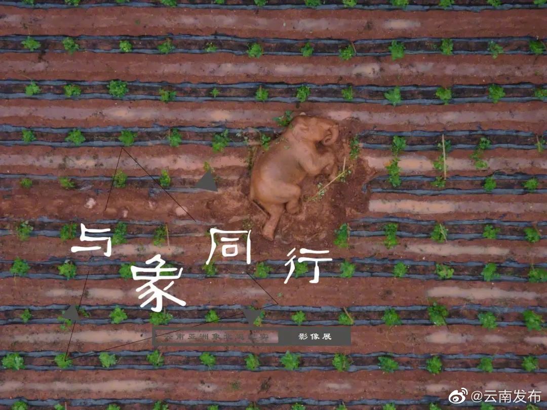 “云南发布”微博