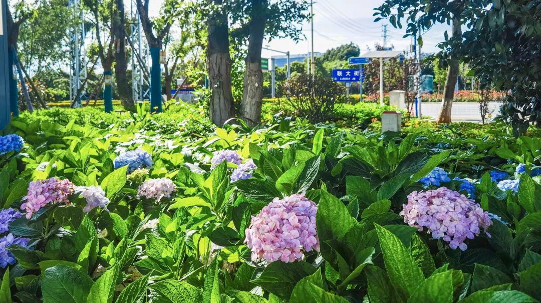昆明文旅