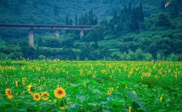 昆明文旅